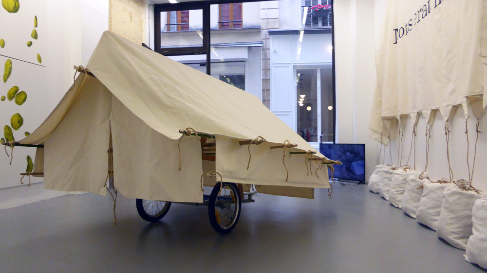 art contemporain, galerie, rue chapon, paris, philippe portier, actéon, le massacre des animaux sauvages