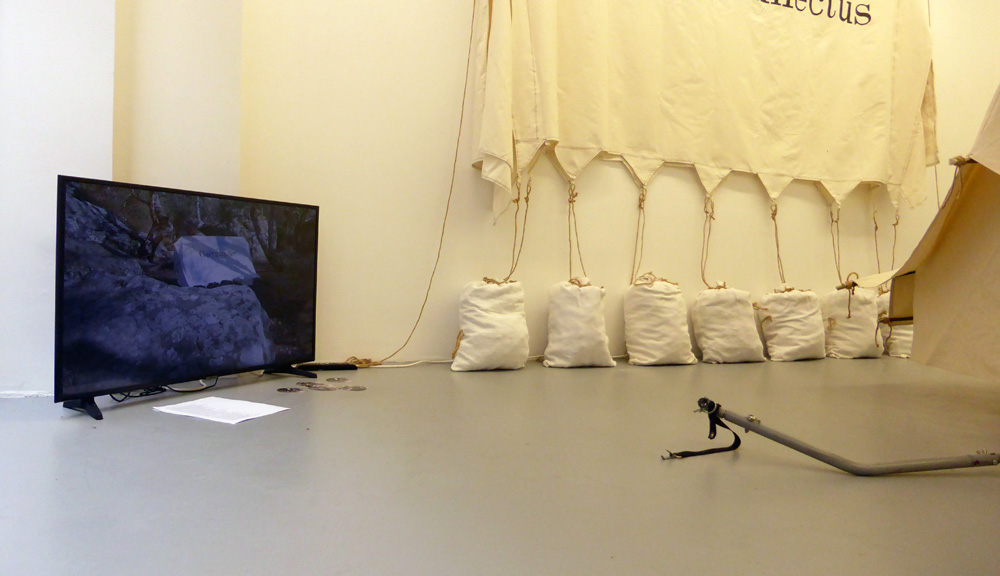 art contemporain, galerie, rue chapon, paris, philippe portier, actéon, le massacre des animaux sauvages
