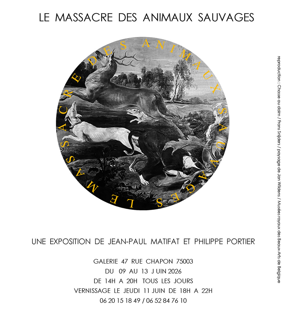 installation, Art, Contemporain