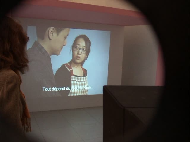 beaux-arts, paris, le vent d_apres, diplomes 2010, jean de loisy