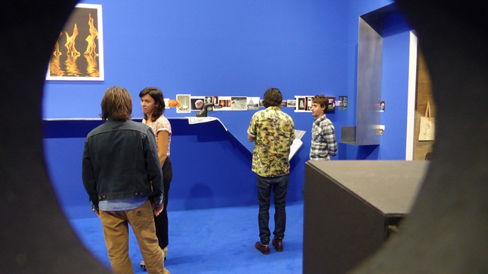 exposition, installation, bétonsalon, camille henrot, the pale fox