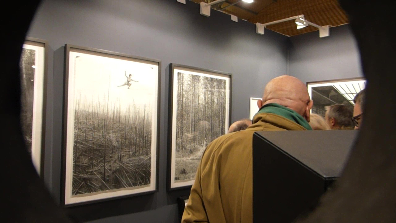 art contemporain, drawing now, paris, dessin, galerie