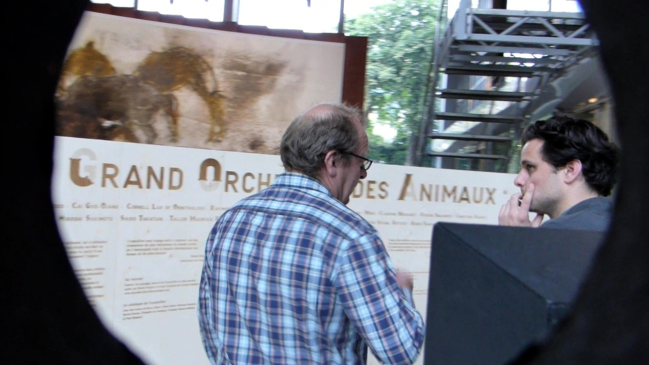 fondation cartier, art contemporain, le grand orchestre des animaux, bernie krause