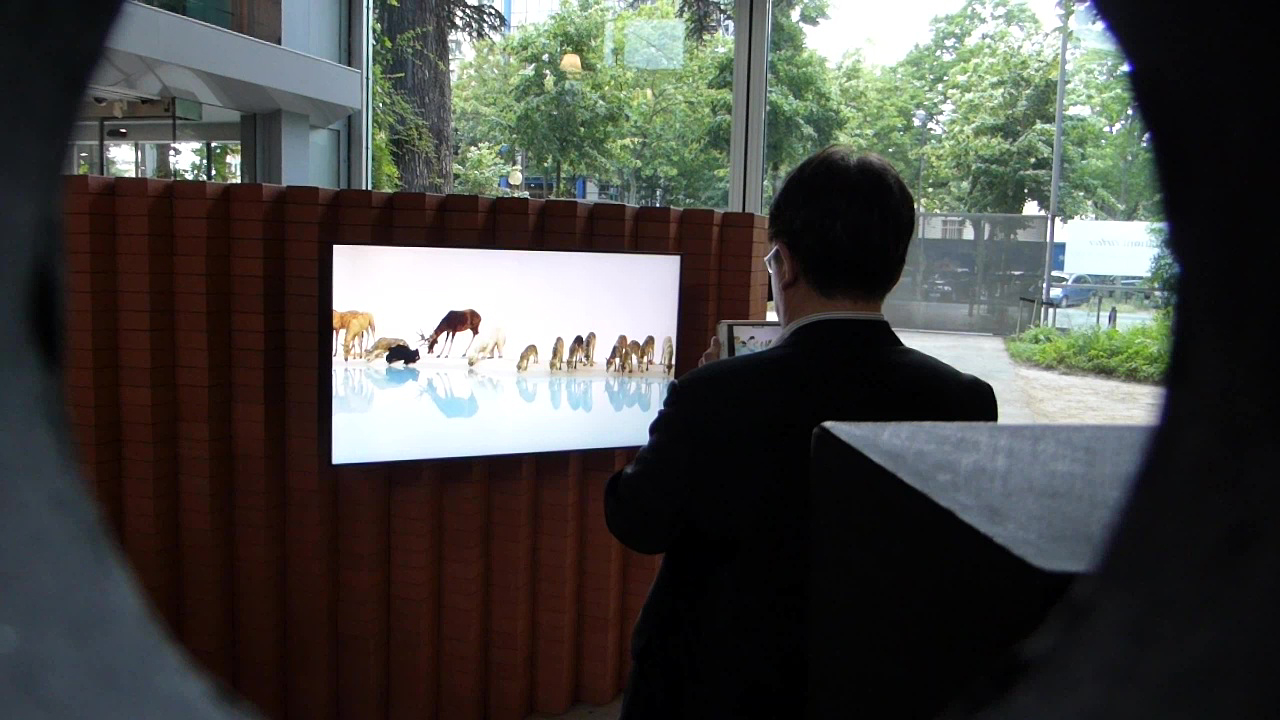 fondation cartier, art contemporain, le grand orchestre des animaux, bernie krause