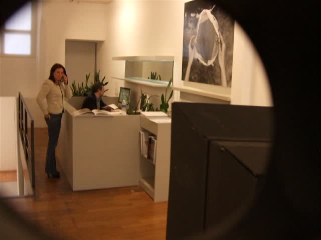 patrick tosani, galerie in situ