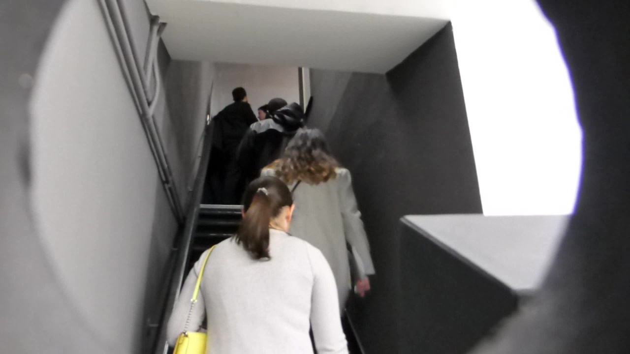 galerie laurent mueller, FITZ, Alexandre Silberstein