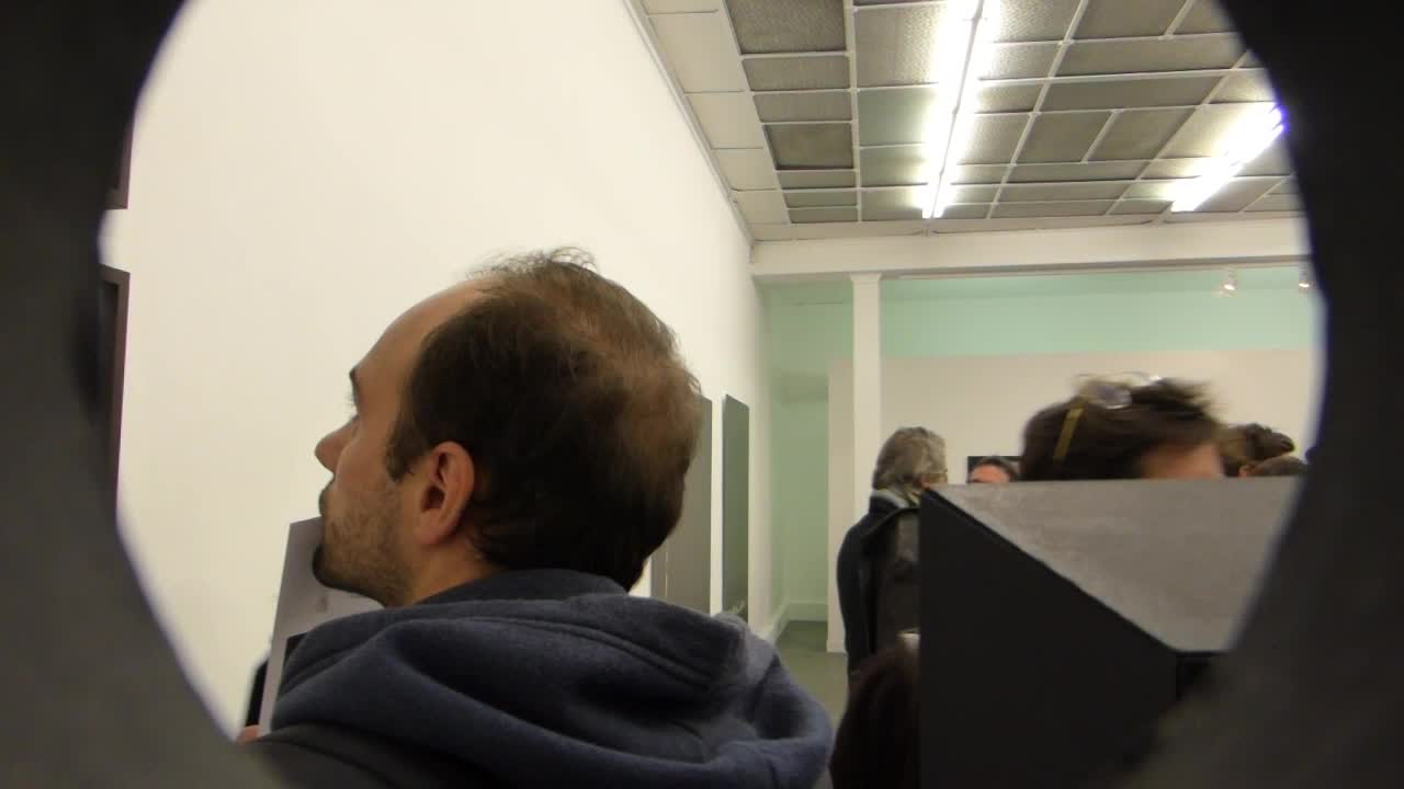 la galerie particulière, construction, apparition, anne-camille allueva, tom callemin, sylvain couzinet-jacques, karim kal, constance nouvel