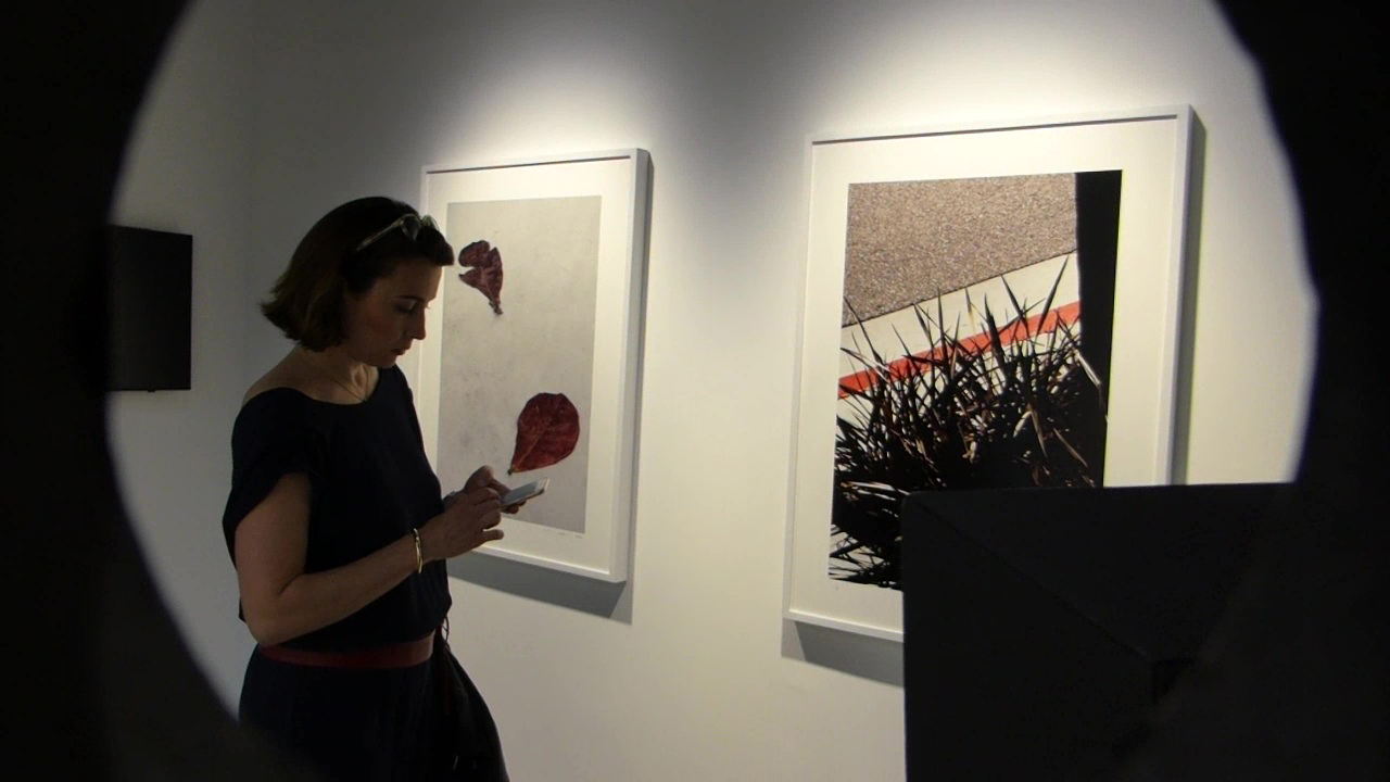 galerie, thierry bigaignon, photographe, américain, ralph gibson, vertical, horizon