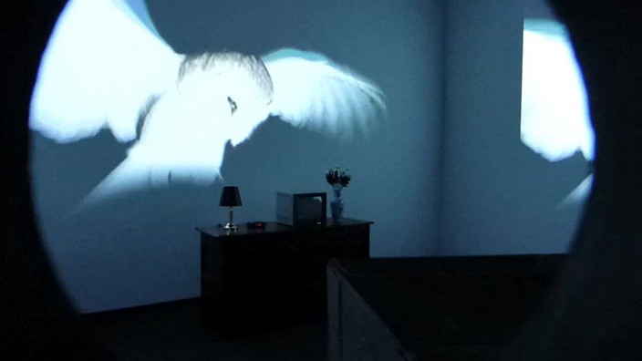 grand_palais, galeries_nationales, bill_viola, artiste, video, jerome_neutres, kira_perov, installation, rmn