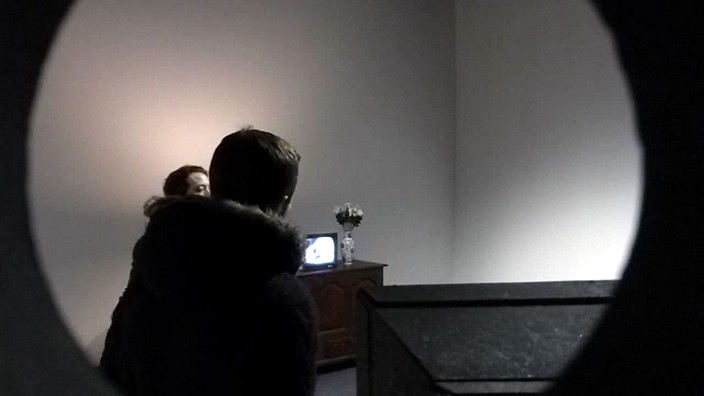 grand_palais, galeries_nationales, bill_viola, artiste, video, jerome_neutres, kira_perov, installation, rmn