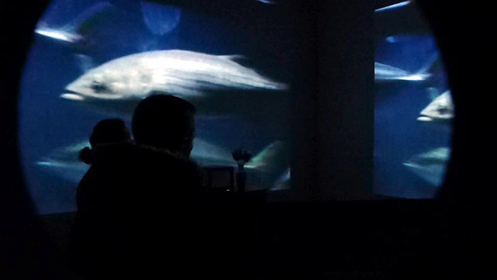 grand_palais, galeries_nationales, bill_viola, artiste, video, jerome_neutres, kira_perov, installation, rmn