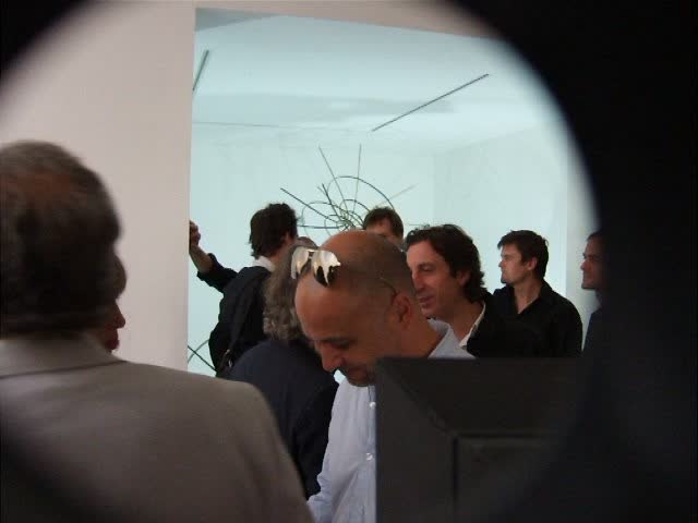 didier faustino, the wild things, galerie, michel rein, bambou, cca, kitakuyshu