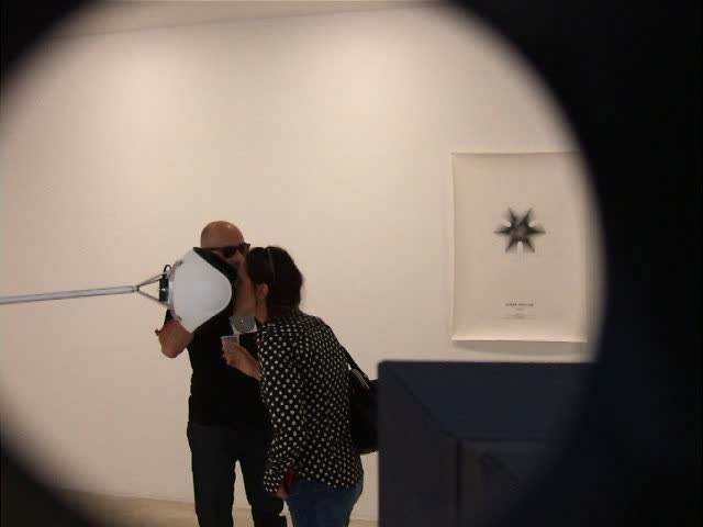 didier faustino, the wild things, galerie, michel rein, bambou, cca, kitakuyshu