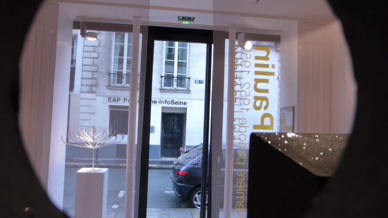 galerie, pascal cuisinier, exposition, pierre paulin