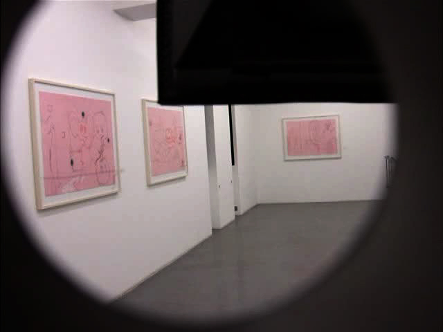 marie-jeanne caprasse, galerie polaris, christian lhopital, opening night