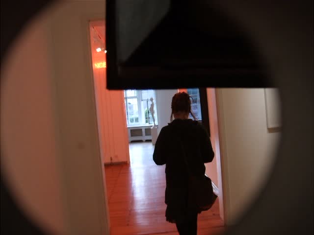 galerie almine rech, brussels, group show part 2, don brown, daniel lergon, joseph kosuth, hedi slimane, franz west